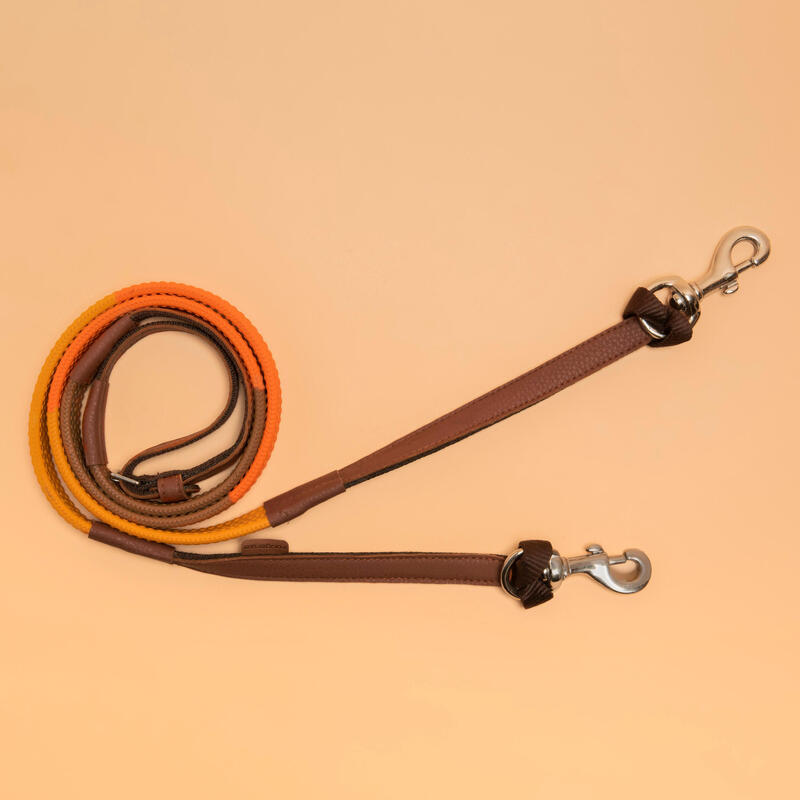 Poza Dârlogi ponei Iniţiere - imagine mare 2