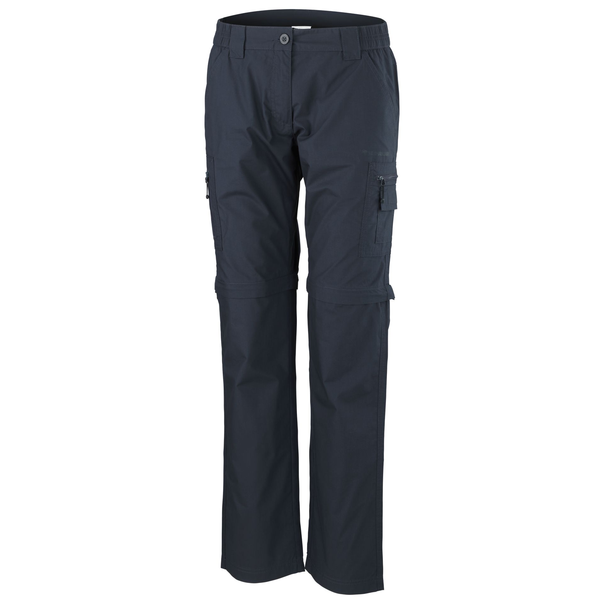 Kilimanjaro Travel Anemone