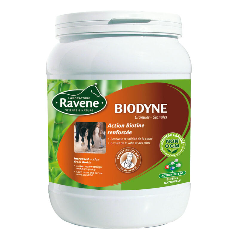 Supliment Alimentar Echitaţie BIODYNE - 1 KG Cal/Ponei