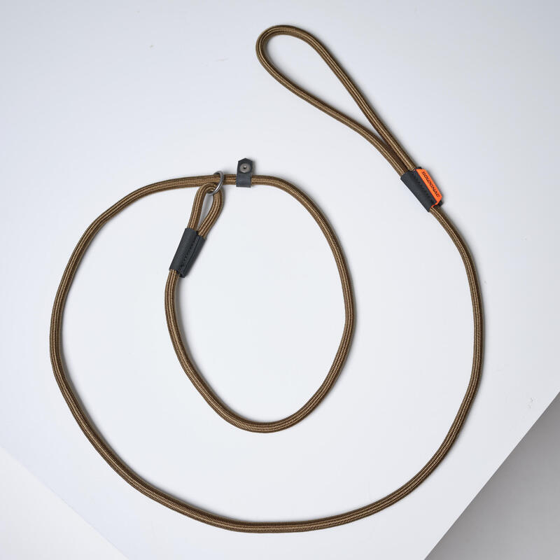 Poza Lesă lasou câine 100 Verde - imagine mare 2